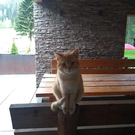 Hubenbauer Seebach (Styria)