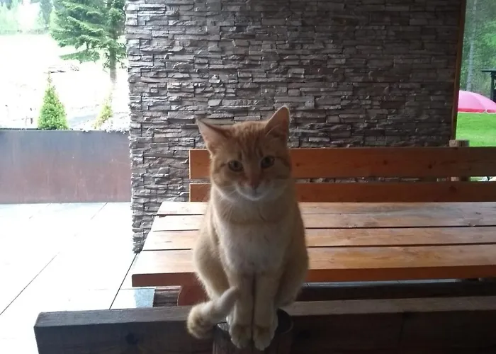 Hubenbauer Seebach (Styria)