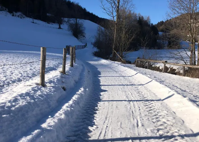 Apartment Hubenbauer *